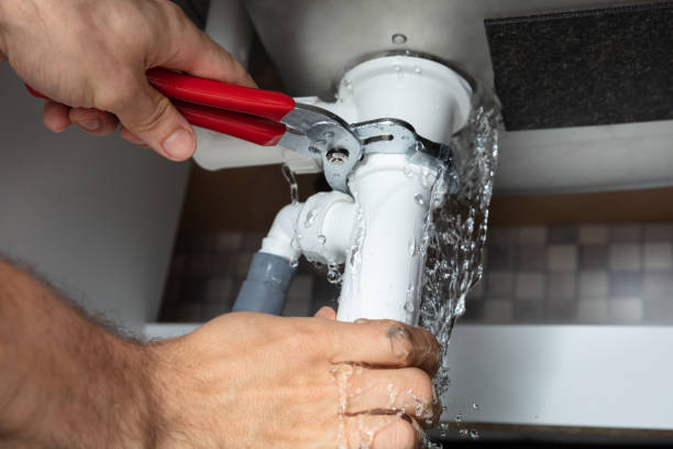 Best Professional water damage repair  in Palmer, AK