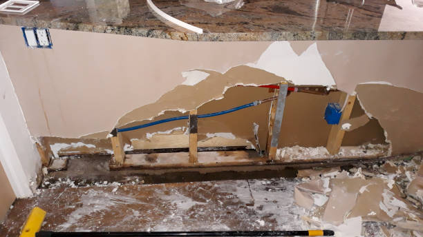 Best Emergency water damage restoration  in Palmer, AK